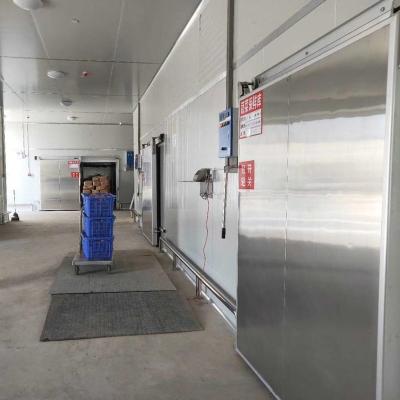 China Frozen Container 75mm 100mm 120mm 150mm PU Sandwich Panels Cold Room For Meat And Fish for sale