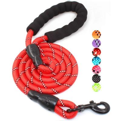 China Adjustable Pet Dog Training Leash Slip Lead Strap Traction Collar Nylon Rope for sale