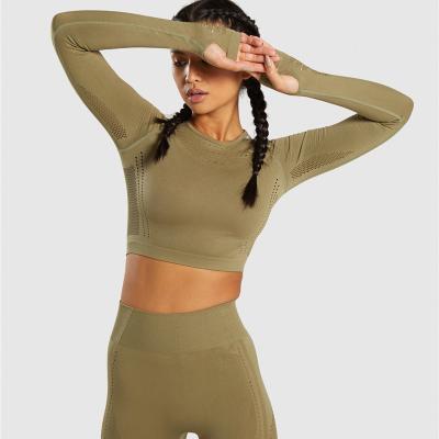 China Antibacterial Flawless Knit Seamless Energy Crop Fitness Top Sports Running Active Shirt Women Yoga Wear Long Sleeve Shirt for sale