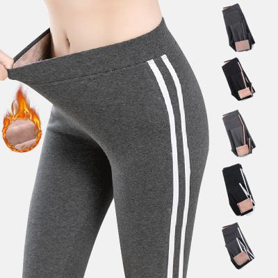 China Antibacterial Your Own Label Autumn And Winter Thick-soled Velvet High Waist Side Striped Sports Pants Cotton Fitness Gaiters Warm for sale