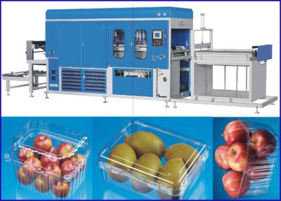 China PP Plastic Vaccum Thermoforming Machine High precision For Food Containers for sale