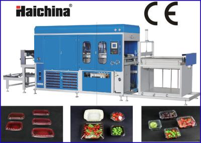 China Fruit Containers Plastic Thermoforming Machine high Speed with 220V 50HZ for sale