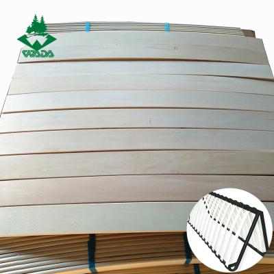 China Traditional cheap price LVL poplar bed slats wooden benting bed slat for sale