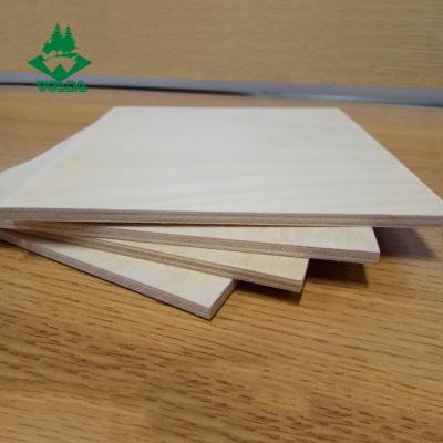 China Furniture 3/4 birch plywood where to buy baltic birch plywood to cut plywood for sale