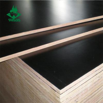 China Contemporary Black Brown Film Faced Plywood Hardwood Concrete For Construction for sale