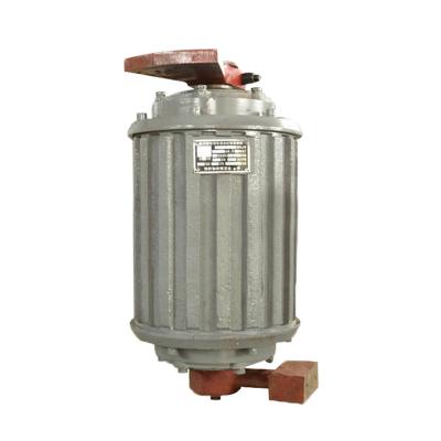 China Explosion Proof Asynchronous Motor AC Asynchronous Induction Motor 3 Phase Vibration Motor for sale