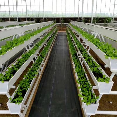 China Factory Direct Sales Large Plant Hydroponic Growing System Easily Assembled Vertical Grow System For Strawberry for sale