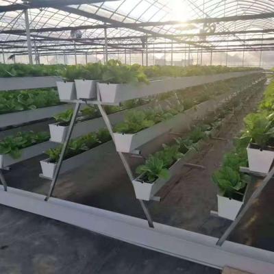 China Manufacturer Wholesale Hydroponic Soilless Strawberry Easily Collected Vegetables Planting Bowl for sale