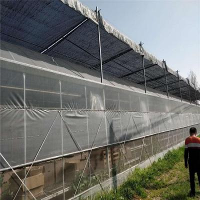 China Customized Commercial Roof Canopy Tent Agriculture Greenhouse External Shading System for sale