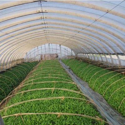 China Easily Assembled And Economical Manufacturers Direct Selling Greenhouse Tent Used Glass Greenhouses for sale