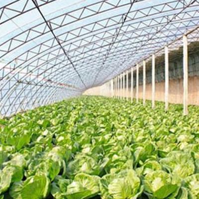 China Easily Assembled And Economical Results Sale Reliable Hydroponic Growing Systems Greenhouse for sale