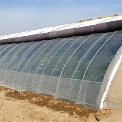 China Easily Assembled And Economical Solar Greenhouse With Back Wall For Cold Weather For Vegetable Growing for sale