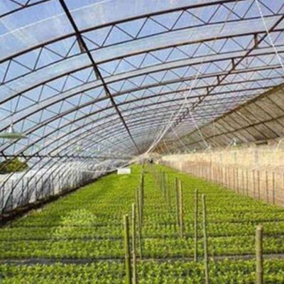 China Agricultural Greenhouse Mini Plastic Film Greenhouse of Low Cost Easily Assembled and Economical Top Quality for sale