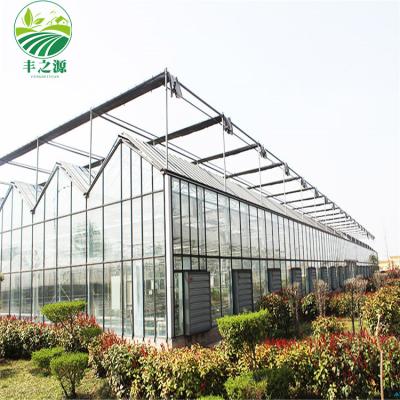 China China ECO FRIENDLY Tropical Greenhouse Glass Greenhouse With Agricultural Vegetables Strawberry Cultivation for sale