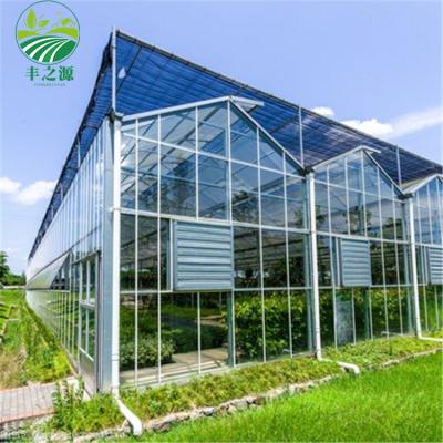 China ECO FRIENDLY Glass Greenhouse With Hydroponic System With Equipment For Plant Agriculture / Vegetables Fruits Flowers for sale