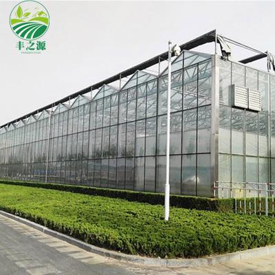 China ECO-FRIENDLY Large Top Ventilated Glass Greenhouse Agriculture Can Grow Seedlings Glass Greenhouse for sale