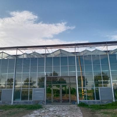 China ECO-FRIENDLY Direct Factory Selling Solar Multi-span Glass Greenhouses For Agriculture for sale