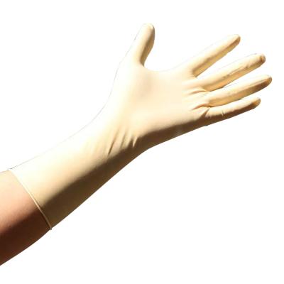 China oil proof gloves latest style high quality pvc exam gloves latex powder free food grade kitchen nitrile cleaning gloves for sale