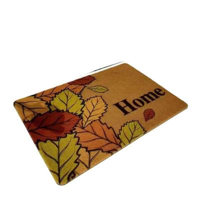 China Factory outlet new arrival printedcoconut washable steel wire mud rust scuff proof slip proof walk in door mat for sale