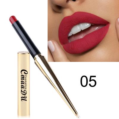 China Sunscreen Private Label Cosmetics Wholesale Make Your Own Waterproof Matte Liquid Lipstick for sale