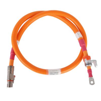 China Promotional High Density Material Automobile Discharge Positive High Voltage Cable Harness for sale