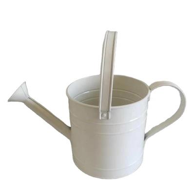 China Hot Wholesale Morden Fancy Metal Watering Can for Farm and Garden Planter for sale