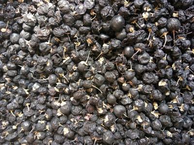 China Amorberry PREMIUM Wild Black Goji Berry /Black Wolfberry, Qinghai AAAAA Top Grade for sale