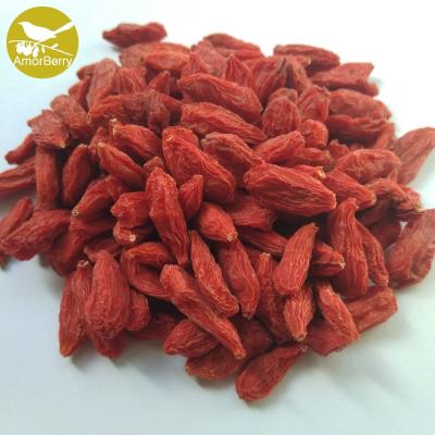 China Berry Goji/Wolfberry/Lycium Barbarum organic fresh goji berries 5kg wholesale price freeze dried fruit goji china for sale