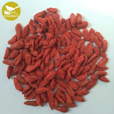 China Amorberry Dried Goji Berry Lycium Barbarum Medlar Chinese Tibet wolfberry wholesale with high quantity for sale