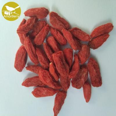 China Amorberry Dried Goji Berry Medlar Chinese Tibet wolfberry wholesale with high quantity cheap price for sale