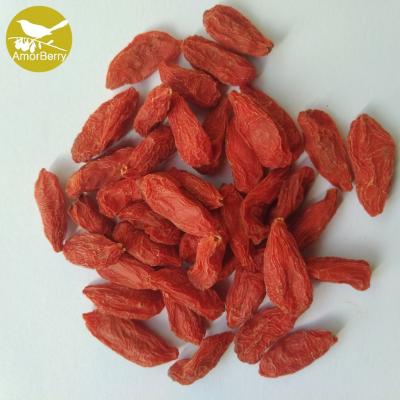 China Amorberry Goji Berry/Wolfberry/Lycium Barbarum organic medlar wholesale from Ningxia factory for sale