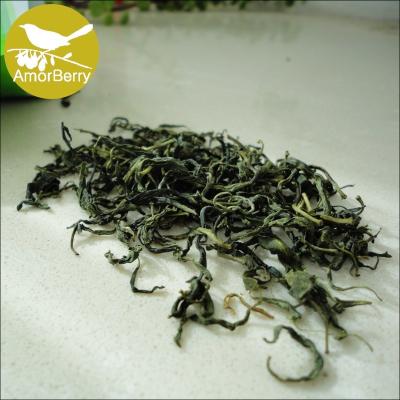 China Fresh goji leaves tea, Wolfberry Sprout Tea Tender leaf, Goji bud tea, ISO certification No pesticide residue for sale