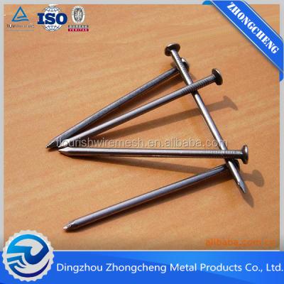 China Contruction Common Coil Nails/Iron Common Nail Making Machine/Wire Common Nails Roofing Galvanized Nails for sale