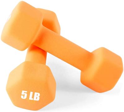 China Home Use Stan Dumbbell High Quality Customized Neopre Dumbbell Set Gym Dumbbell for sale