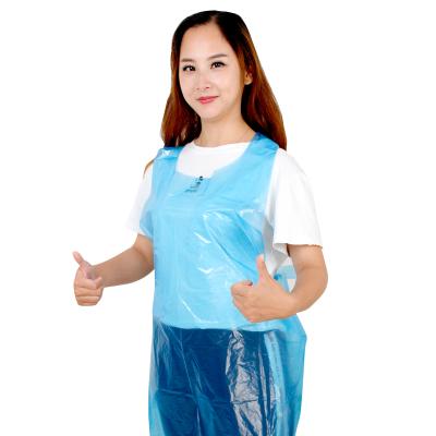 China Waterproof Apron UV Plastic Disposable Plastic Dress Aprons PE Protection Plastic Apron for sale