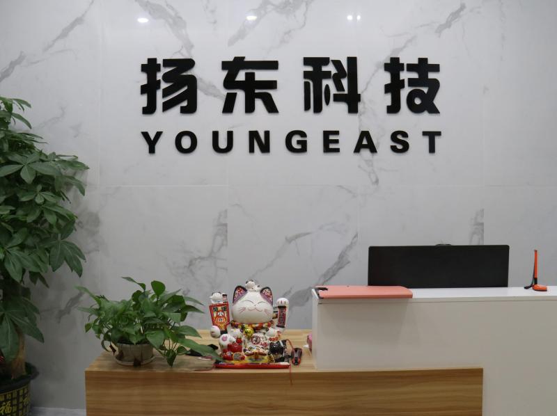 Verified China supplier - Shenzhen Youngeast Technology Co., Ltd.