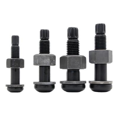 China Anti-Corrosion Torsion Bolts Shear High Strength Screws Tie Fastening Bolts For Grade 10.9 Steel for sale