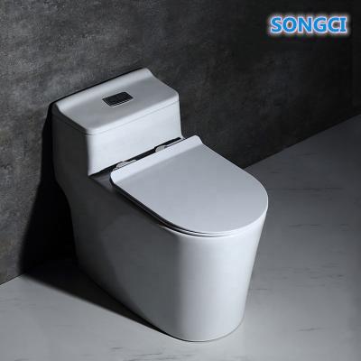 China Double-Flow Modern Design Special Siphonic Water Saving One Piece Toilet Popular In Vietnam for sale