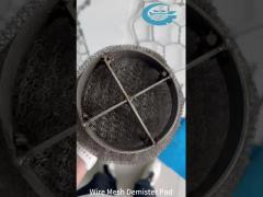 Wire Mesh Demister Pad