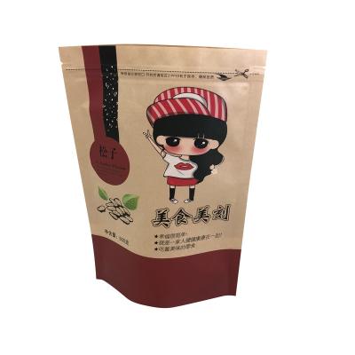 China Moisture Proof Environmental Friendly Laminated Paper Bag Custom Backing Up Nuts Packing Bag for sale