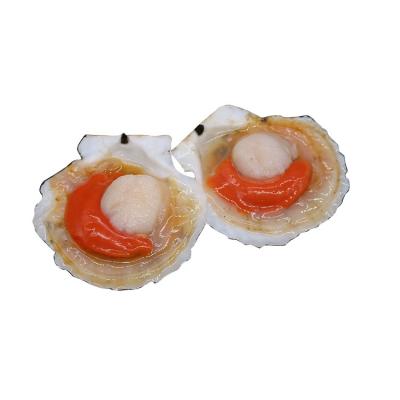 China Curtian Frozen Food Unique Design Selling High Precision Quality Hot Moon Sea Scallop for sale