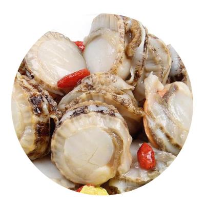 China Frozen Food Season Frozen New Quality Scallop Frozen Meat for sale