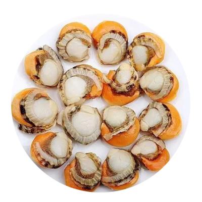 China Frozen Food Manufacturers Supply 2021 Hot Selling Frozen Scallop High Quality for sale