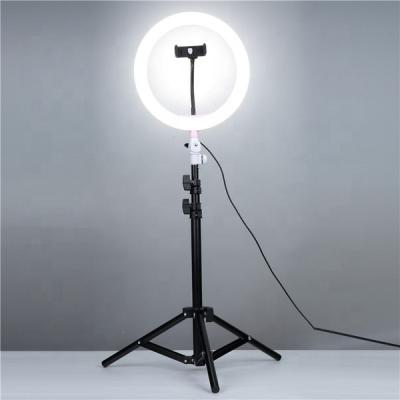 China Photographic Ring Light Selfie LED Ring Light 6 Tempurate Color Biucam Adjustable Tripod Stand 8 10 12 14 18 inch Ring Light for sale