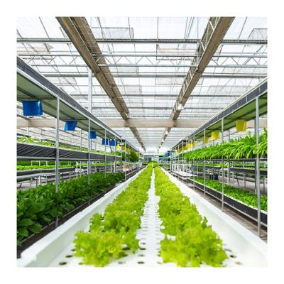 China China Factory Large Polycarbonate PC Sheet Greenhouse Hydroponic Systems For Greenhouse Vegetables Growing for sale