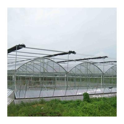 China Tomato Cultivation Vegetable Factory Direct Supply Ambient Protect Multi Span Strawberry Agricultural Greenhouses To Pick Farm for sale