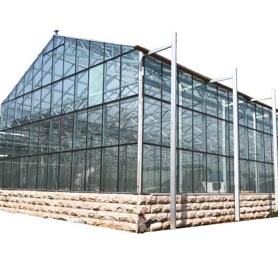 China Vale Venlo Crop High Light Transmittance Agricultural Greenhouse Multi-span Glass Greenhouse For And Flower Farm Medicinal Plant Vegetable Planting for sale