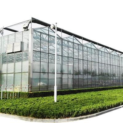 China High Harvest High Quality And Cheap Vale Greenhouse Of Venlo Light Transmission Window Glass Top Hydroponic Green Home Planting Herbal Medicine Use for sale