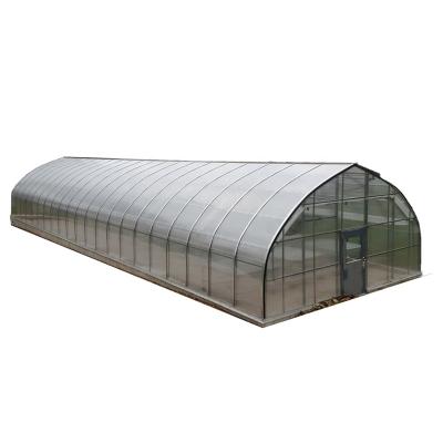 China Stable Structure Easily Assembled Cold Free Shed Plastic PE/PC Vegetable Shed Greenhouses Single Tunnel Greenhouse Cold Shed Customizable Cover for sale