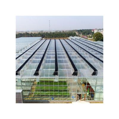 China Chinese Polycarbonate Greenhouse Factory Supply Large Span Agriculture Multi Span Polycarbonate Covering Sheet Greenhouse for sale